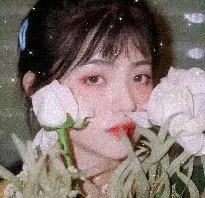 寻颅记海报