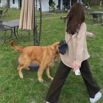 好鞋成双海报